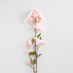 Home & You Flower — photo 3
