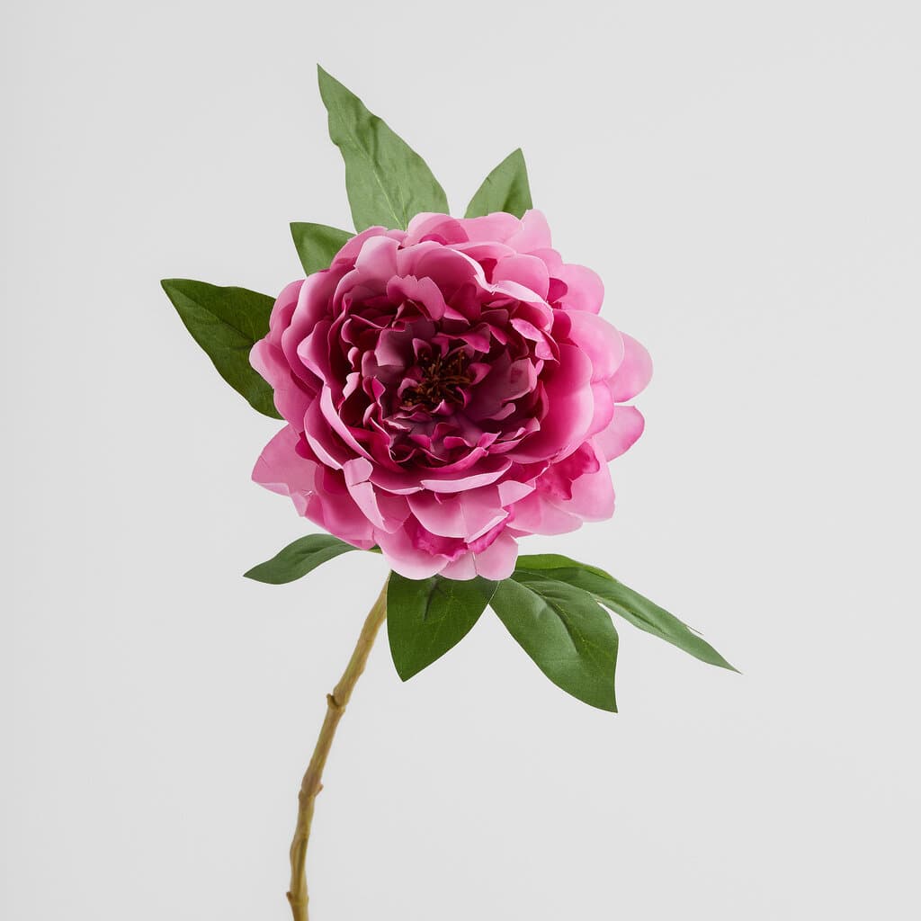 Home & You Flower
