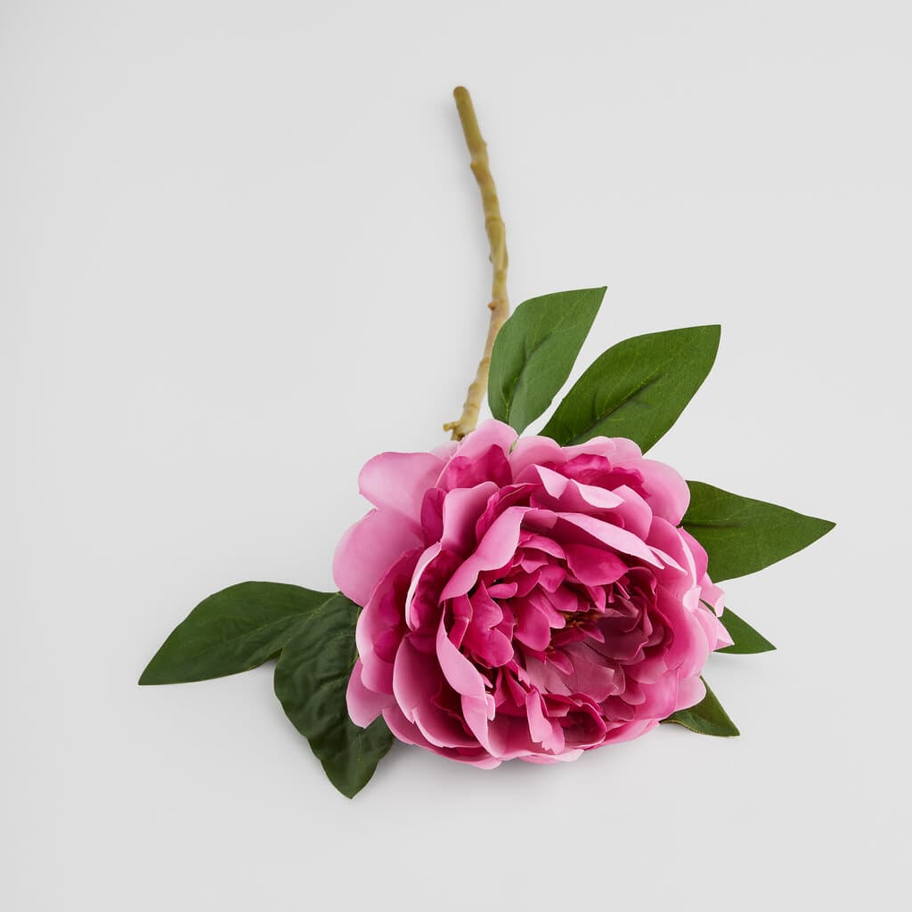Home & You Flower — photo 2