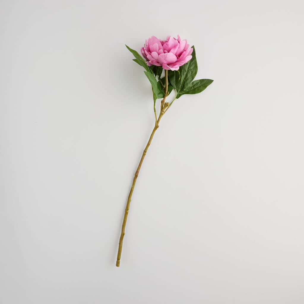 Home & You Flower — photo 3