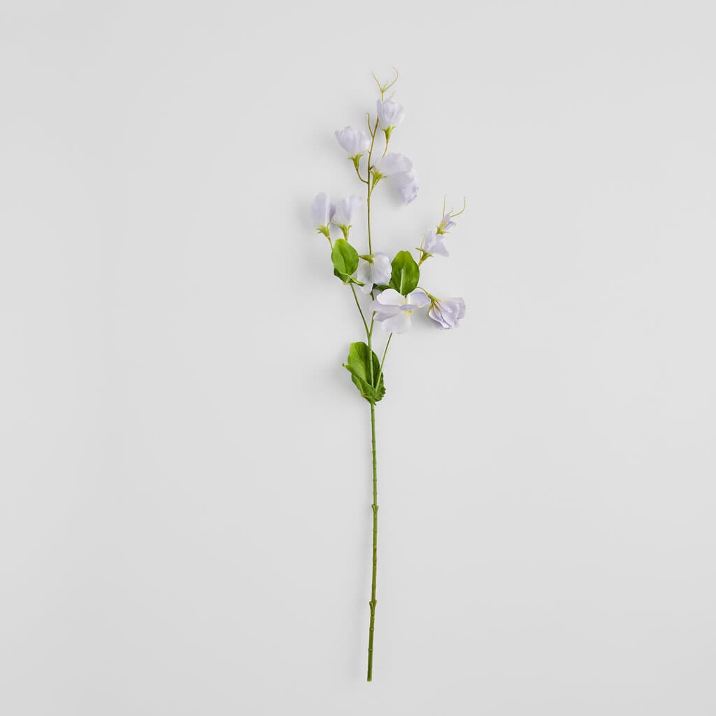 گوڵی Home & You — photo 2
