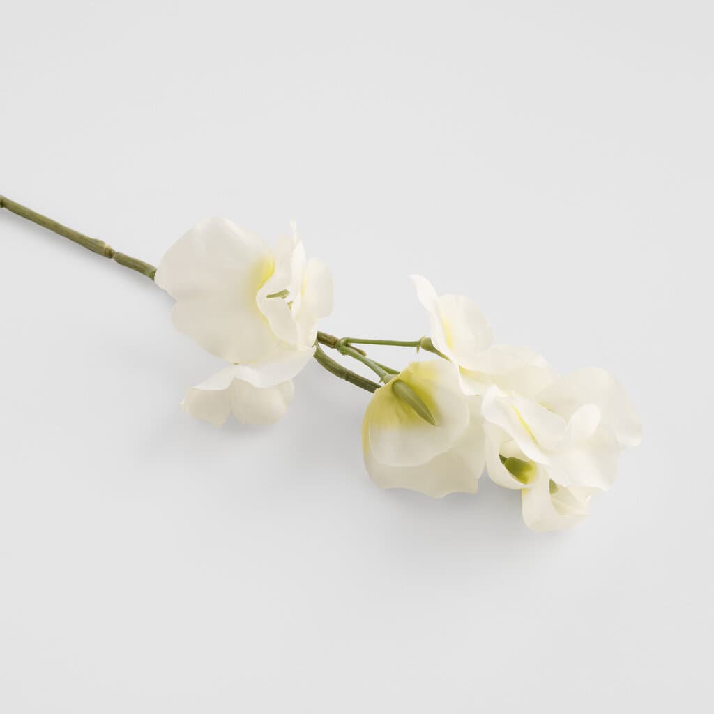 Home & You Flower