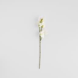 Home & You Flower — photo 2
