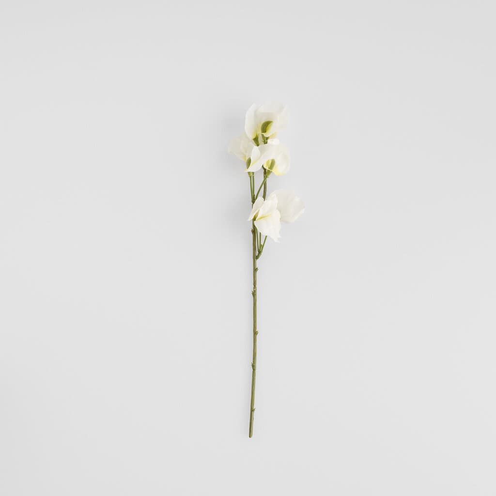 Home & You Flower — photo 2
