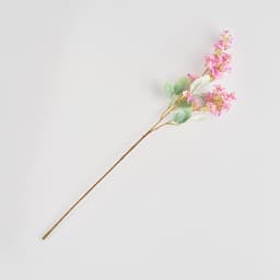 گوڵی Home & You — photo 2