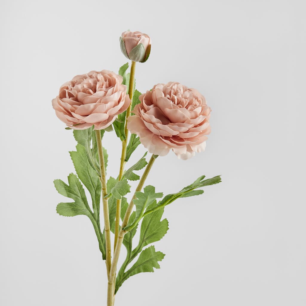 Home & You Flower