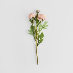 Home & You Flower — photo 2