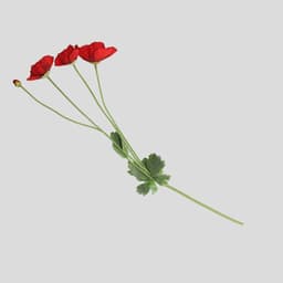 Home & You Flower — photo 1