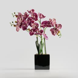Home & You Flower — photo 1