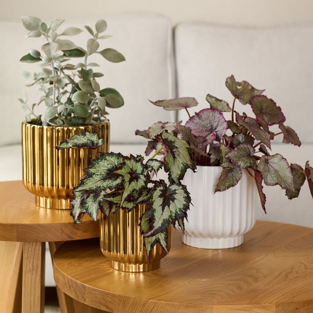 Home & You Flowepot — photo 4