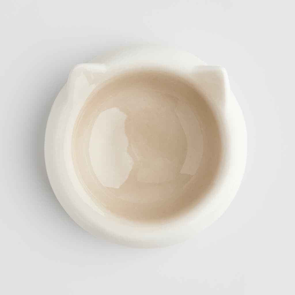 Home & You Pet Dishes