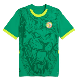 Senegal National Team Away Kit – World Cup 2026 Model (T-Shirt) - M — photo 1