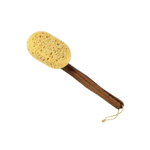 Bath Brushes & Sponges