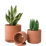 Plant Pots and Saucers