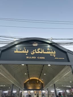 Bllnd Cars