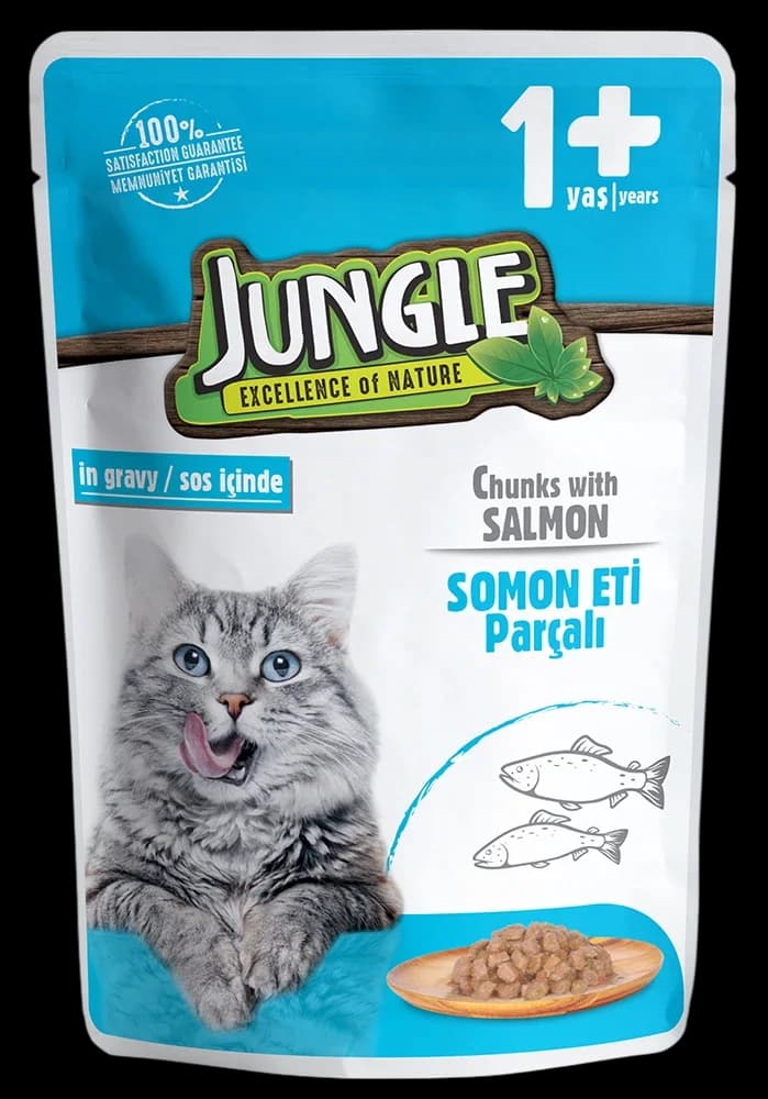Cat Wet Food with Salmon - 100g