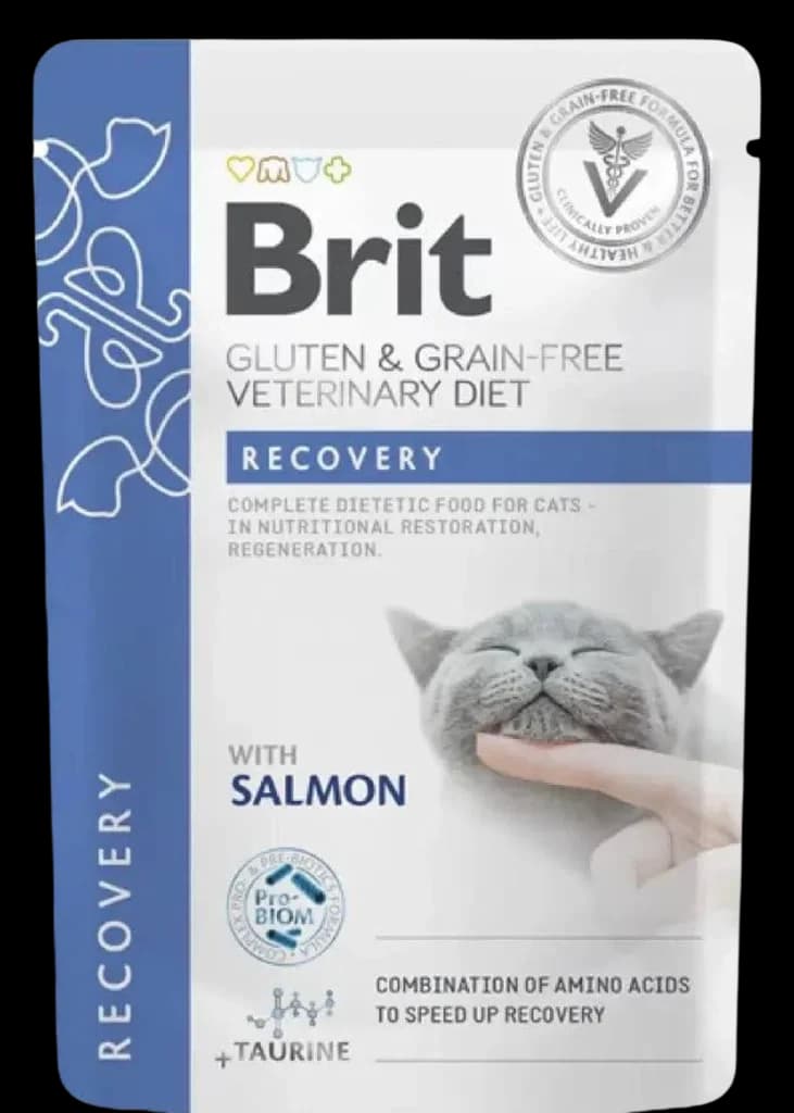 Recovery With Salmon - 85g