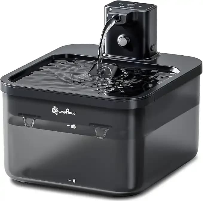 Water Fountain - 2.5L