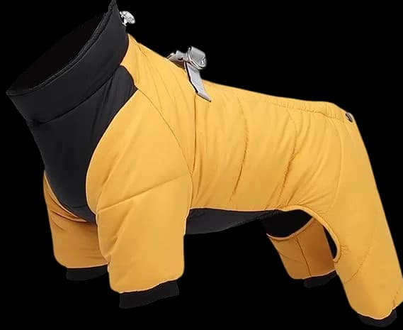 Dog jacket