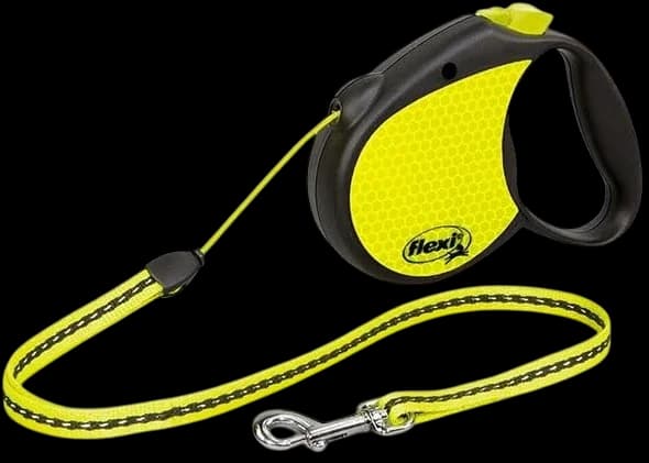 Leash - 5m