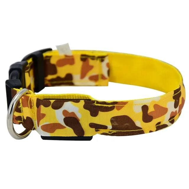 Dog Collar - S