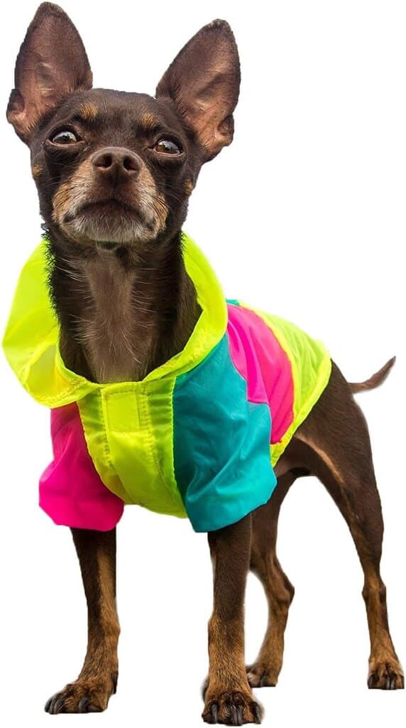 PETLESO Colorful Clothes - S