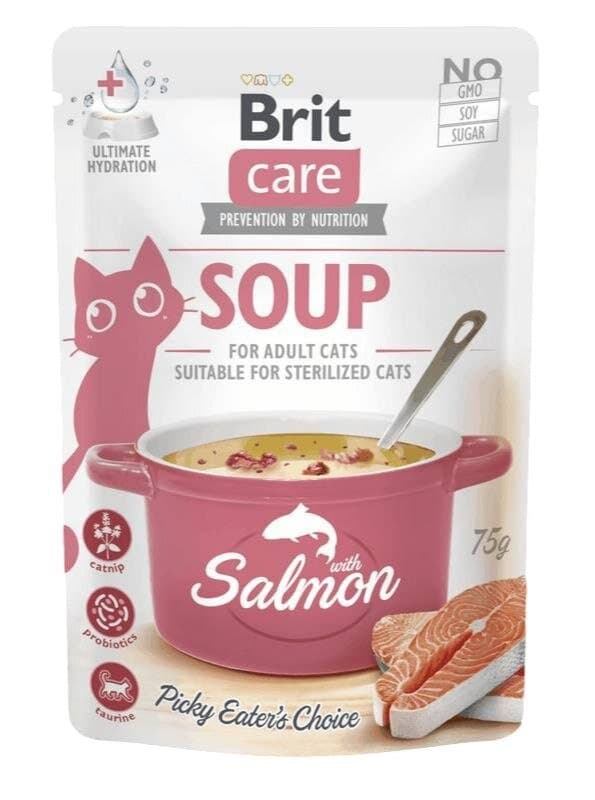 Brit Care Soup with Salmon - 75g