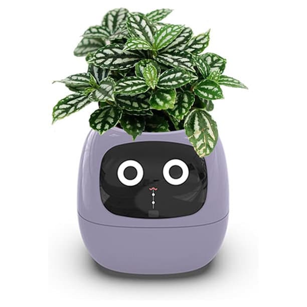 Smart Flower Pot - Purple