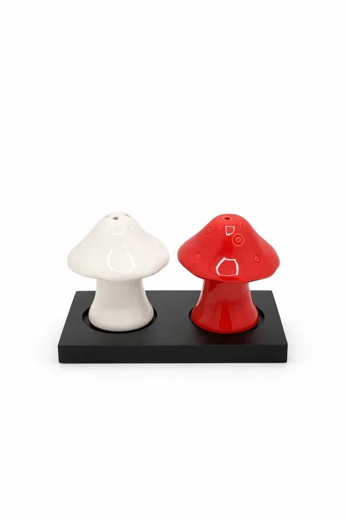 Ceramic Salt & Pepper Shaker Set - 2 Piece